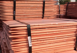 Copper cathodes on CIF for sale