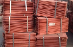 Malaysia Buying Copper Cathode 5,000 mt/m CIF