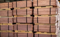 Copper cathodes 1000-10,000 t needed $0
