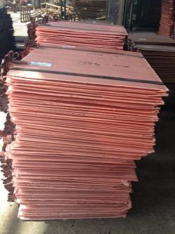 Copper cathode offer 2,000 trial, 5,0000 mt/m CIF $0