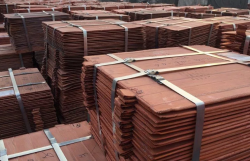 Offering Copper Cathode on CIF $4500