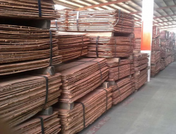 Need detailed offer for 5000 MT of copper cathodes