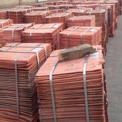 Buying copper cathodes 99,5% min 25 mt trial