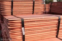 Need 5,000 MT/m of copper cathodes
