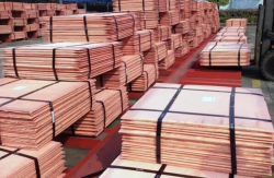 Copper Cathode 1,000 MT CIF needed
