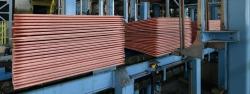 We need 5,000 MT Copper Cathodes