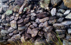 Interested in Chrome ROM >36% $0