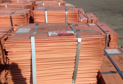 Looking for 2,000 mt/m of Copper cathodes