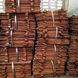 Copper Cathode 100,000 mt/m