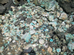 40,000 tons of zinc ore 55% monthly CIF $790