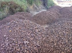 Canada Iron ore >62% 50,000 mt/m