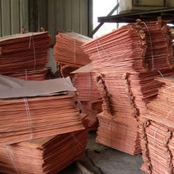 Looking for Cooper cathode 2-3,000 mt/m