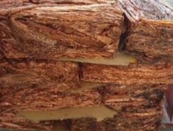 Looking for copper scrap to Dubai, CIF