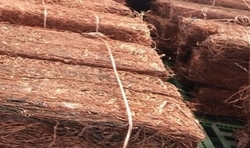 Copper wire scrap 99.99% needed