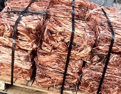 United States Looking for Copper Millberry to UAE