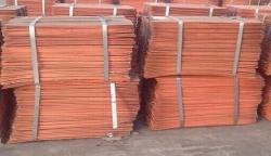 United States Purchase of copper cathodes to Korea