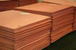 Copper Cathodes and Copper Millberry Supplier $4800
