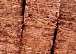 Turkey Looking to purchase millberry copper scrap 99.9%
