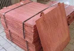 Demand for 10000 mt of copper cathodes