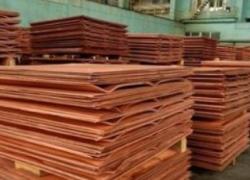 Looking for Copper cathodes supplier, FOB $0