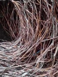 Offer for Copper wire scrap, Guinee