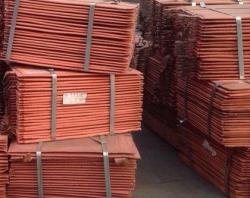 Supplying Copper cathodes Electrolytic Grade $8