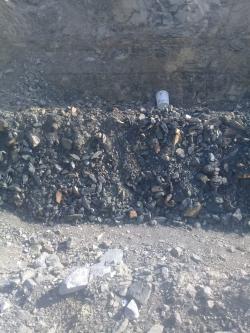 Chrome rom up to 42% $0