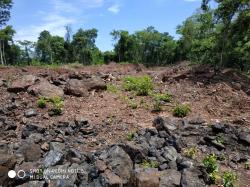 Manganese Ore above 42% $0