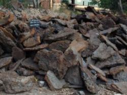 Looking for pig iron scrap to Bilbao $0