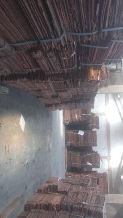 Copper cathode Grade A 99.9% purity $0