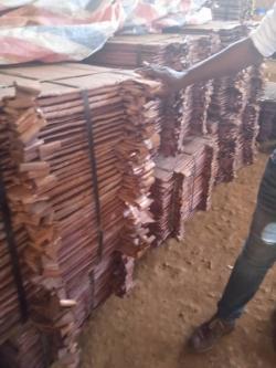 99.98% Copper cathodes for sale $0