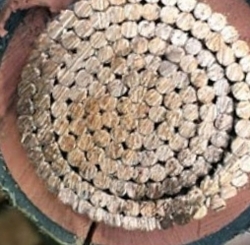 Looking for insulated copper wire scrap, FOB $0