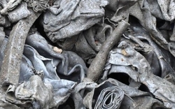 Lead scrap available from a Lead melting plant $0