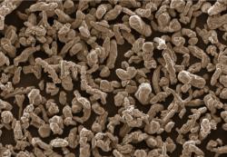 Ultrafine Copper Powder sale $1900