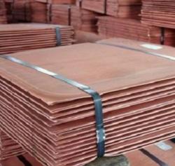 Need of Copper Cathodes ($25)