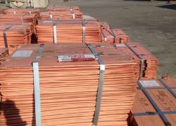 Looking for cathode 99.99 $0