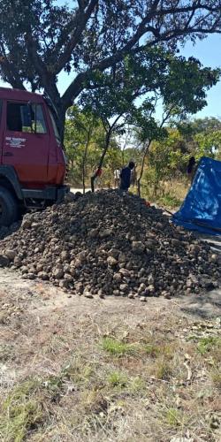 Manganese ore lumps from Zambia $0