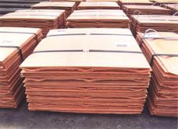 Serious customer search for original Zambia copper cathode for sale $0