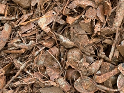 Incinerator steel scrap Fe 85% $180