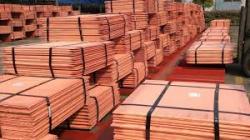Copper Cathode For Sale $0