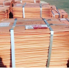 Supplying copper cathodes 99.99% purity