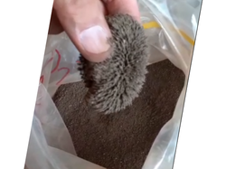 Iron filings for sale $140