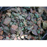 Chinese company buys copper ore, concentrate $0