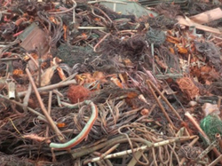 100,000,000.00 MT copper scrap buyer $0