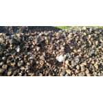 Manganese ore offer ex Peru $0