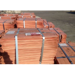 Copper Cathode Offer CIF price $0