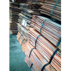 Seling Copper Cathode on CIF basis $0