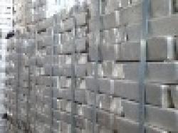 Magnesium (99.9%) $0