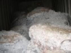 Magnesium Metal & Powder $0