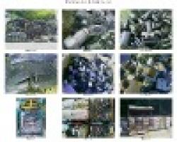 Major Export Items $0